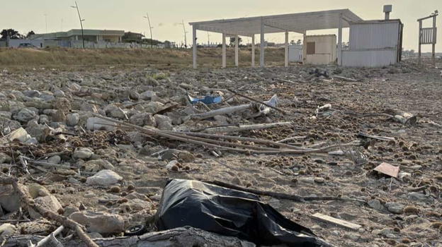 Sporcizia e degrado su una spiaggia di Campo di Mare: anche tartaruga in putrefazione