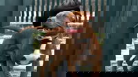 1750415051_685536ca9ac69