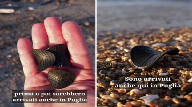 Spiagge invase da dischetti neri misteriosi: il giallo ambientale che parte dal Nord e arriva in Puglia