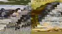 1750590082_6857e281e606b
