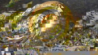 1751023716_685e80641ac8a