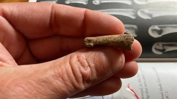 Scoperta archeologica senza precedenti in Lombardia