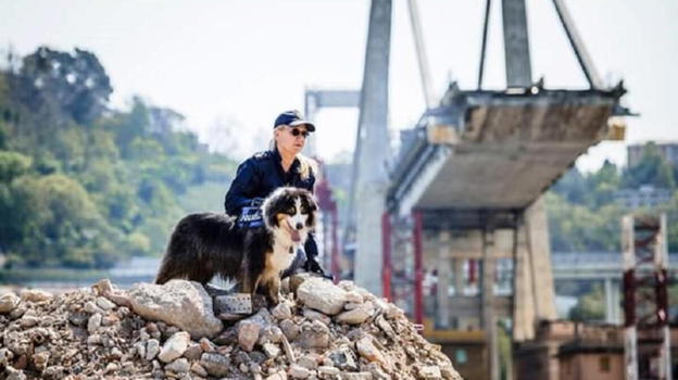 Genova: il cane eroe del Ponte Morandi è volato sul Ponte