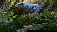 1751267387_6862383a7c837
