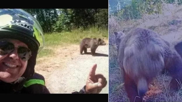 Romania, motociclista italiano perde la vita sul Transfăgărășan Romania, motociclista italiano perde la vita sul Transfăgărășan dopo un incontro ravvicinato con un’orsa