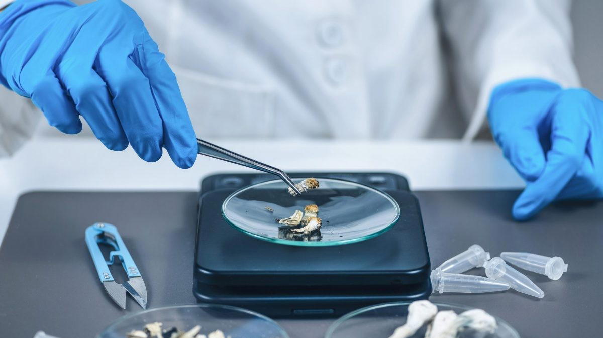 Italia pioniera nella cura della depressione: via libera ai funghi psichedelici per uso terapeutico