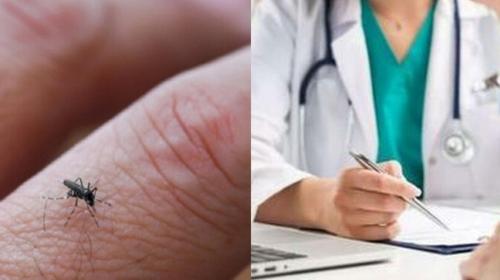 Dengue e Chikungunya, l’Italia è sotto osservazione: mappa dei contagi e allerta dei medici