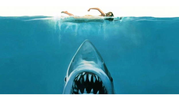Lo Squalo: il film che ha innovato il cinema e ancora oggi parla al nostro inconscio