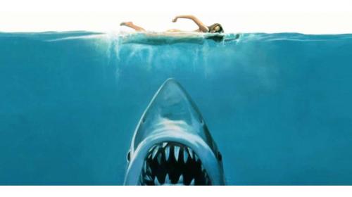 Lo Squalo: il film che ha innovato il cinema e ancora oggi parla al nostro inconscio