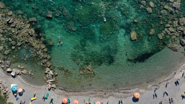 Un’alga tossica mette a rischio l’ecosistema marino e la pesca locale