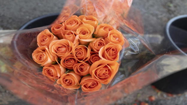 Vende rose alle coppiette per strada: multato con una sanzione da 5 mila Euro e parte la colletta