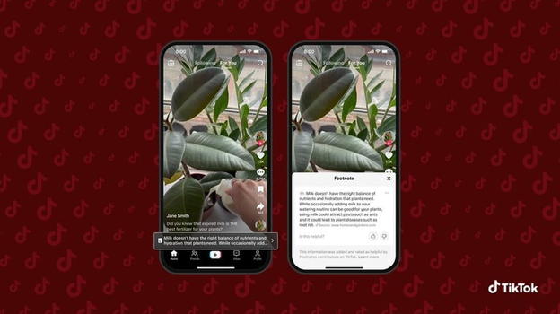 TikTok introduce le "Community Notes": nasce Footnotes, il fact-checking partecipativo