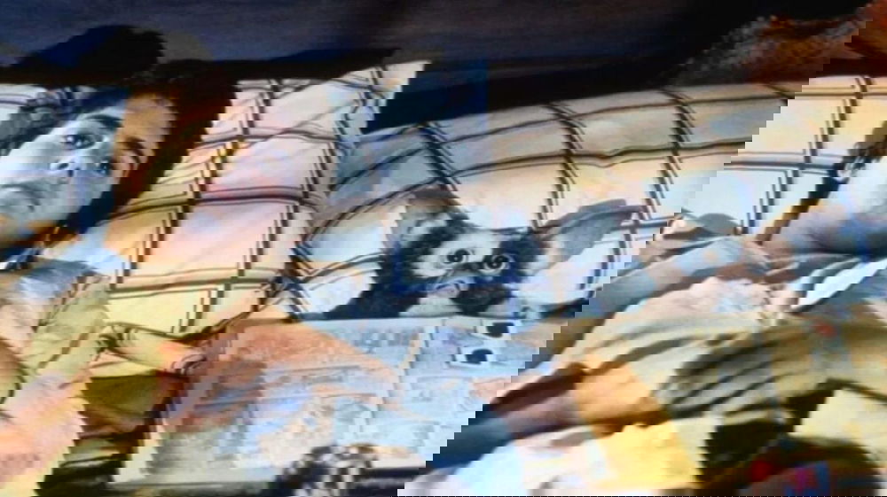 Gremlins 3 la sceneggiatura è finalmente pronta