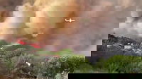 Un vasto incendio colpisce un’ampia area boschiva con gravi conseguenze