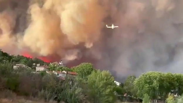 Un vasto incendio colpisce un’ampia area boschiva con gravi conseguenze