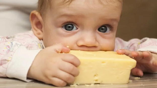 Bimbo di un anno ricoverato per consumo di formaggio da latte crudo: cos’è la Sindrome emolitico-uremica (Seu)