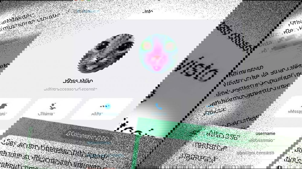 Boss Miao, l’uomo dietro Phica: il ruolo nella gestione dei contenuti online e le richieste economiche