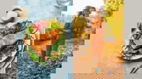 1759050037_68d8f934a0b27