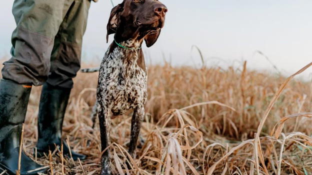 Esce per la caccia per poi scivolare nel fiume, ma il suo cane lo salva