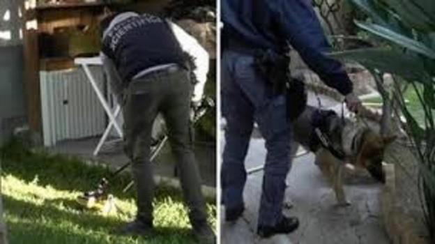 Arrestata giovane madre a Reggio Calabria: indagini sui neonati trovati in casa