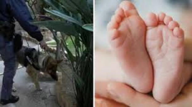 Il mistero dei neonati di Reggio Calabria: il caso che interroga la giustizia e la società