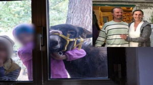 1763718735_6920364e9bdab