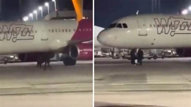 Passeggeri invadono la pista per prendere l’aereo: bloccati