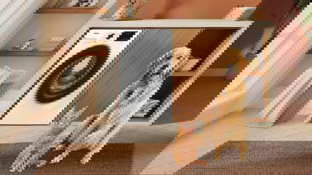 Hotpoint Ariston Délica: le lavatrici ideali per eliminare i peli di animali domestici