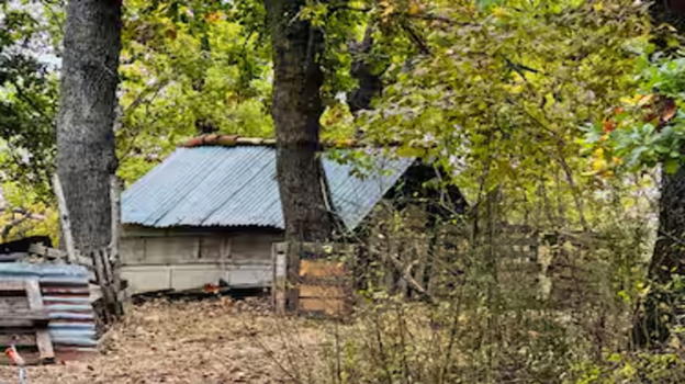 Famiglia nel bosco anche in Toscana: bambini allontanati tra grida d’aiuto e criticità nella scuola parentale