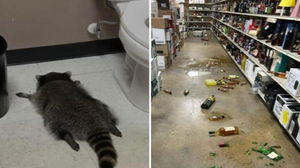 1764785794_69307e81a2c5d