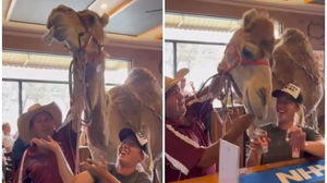 1764851208_69317e07ece2c