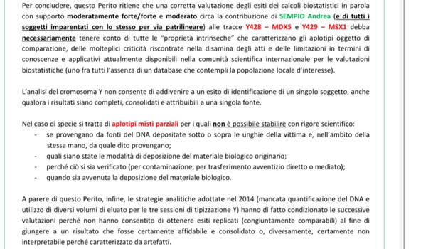Garlasco, il TG1 ha reso pubblica la relazione della genetista Albani: "Dna compatibile con linea paterna di Sempio"