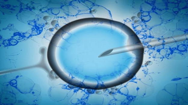 Donatore di sperma con mutazione genetica ad alto rischio tumorale: quasi 200 bambini coinvolti