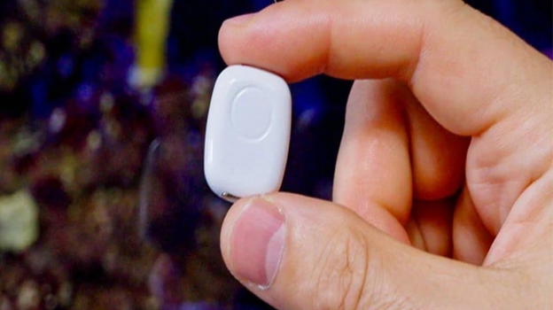 Shelly The Pill: il gadget smart compatto ed economico che trasforma i sensori tradizionali