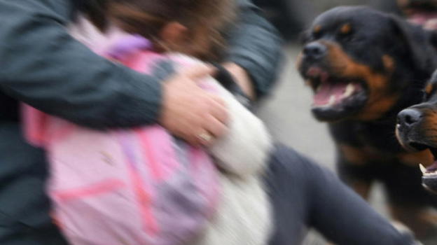 Coraggio e prontezza a Cascina: finanziere salva bambina circondata da tre Rottweiler