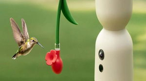 1766509303_694acaf710a54