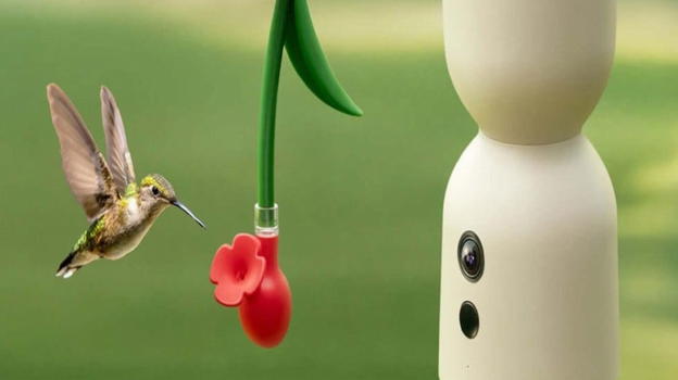 Quando il birdwatching diventa hi-tech: slow motion a 120 fps e viste a 360° al CES 2026