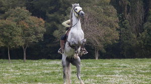 1766689506_694d8ae18b1b5