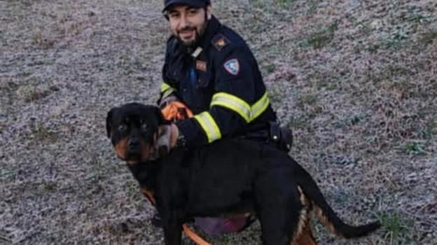 Bergamo, la polizia stradale salva Fiona: Rottweiler in fuga lungo l’A4