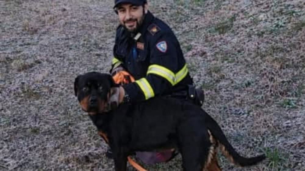 Bergamo, la polizia stradale salva Fiona: Rottweiler in fuga lungo l’A4