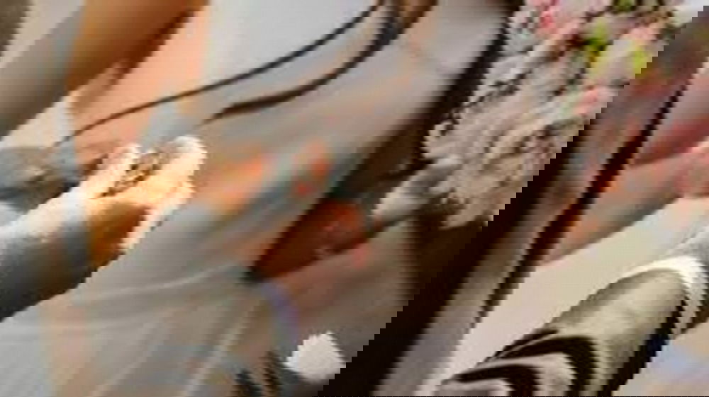 Si sposano con il testo scritto da ChatGPT, ma il matrimonio viene annullato