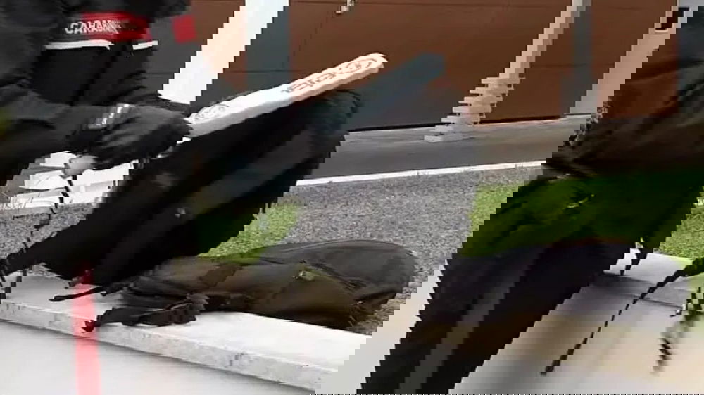 Metal detector a scuola e più controlli: il governo si prepara