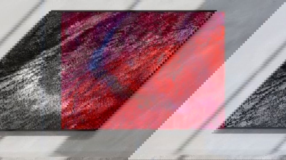 Sony Bravia BZ-P: la nuova generazione di display professionali che porta la qualità BRAVIA nel mondo business