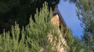 1770981137_698f07104eb86