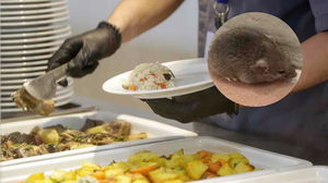 1771017284_698f94443bc51