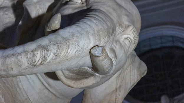 Roma, danni alla statua dell’elefante ad opera del Bernini
