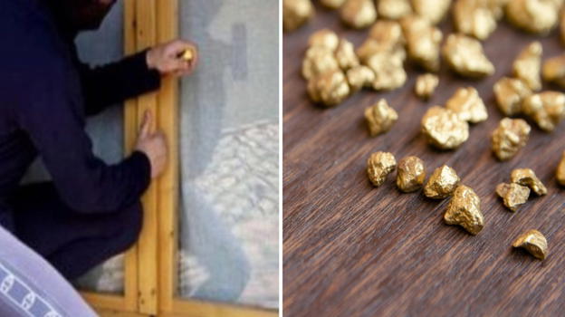 Rubano "pepite" ma erano calcoli renali: incredibile furto a Pordenone