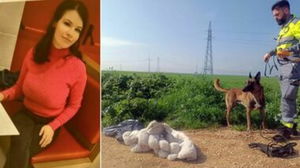 1773402652_69b3fa1bf1fef