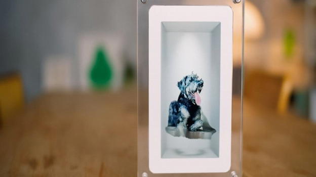 Musubi rivoluziona le cornici digitali: arrivano le foto 3D visibili senza occhiali