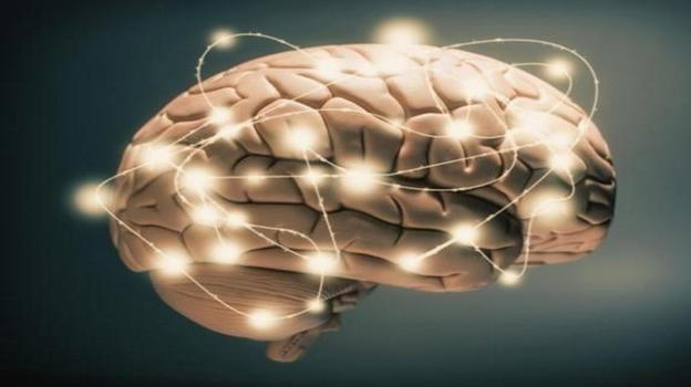 I 12 segreti per un cervello più sano: i nutrimenti essenziali per proteggere i neuroni da stress e invecchiamento